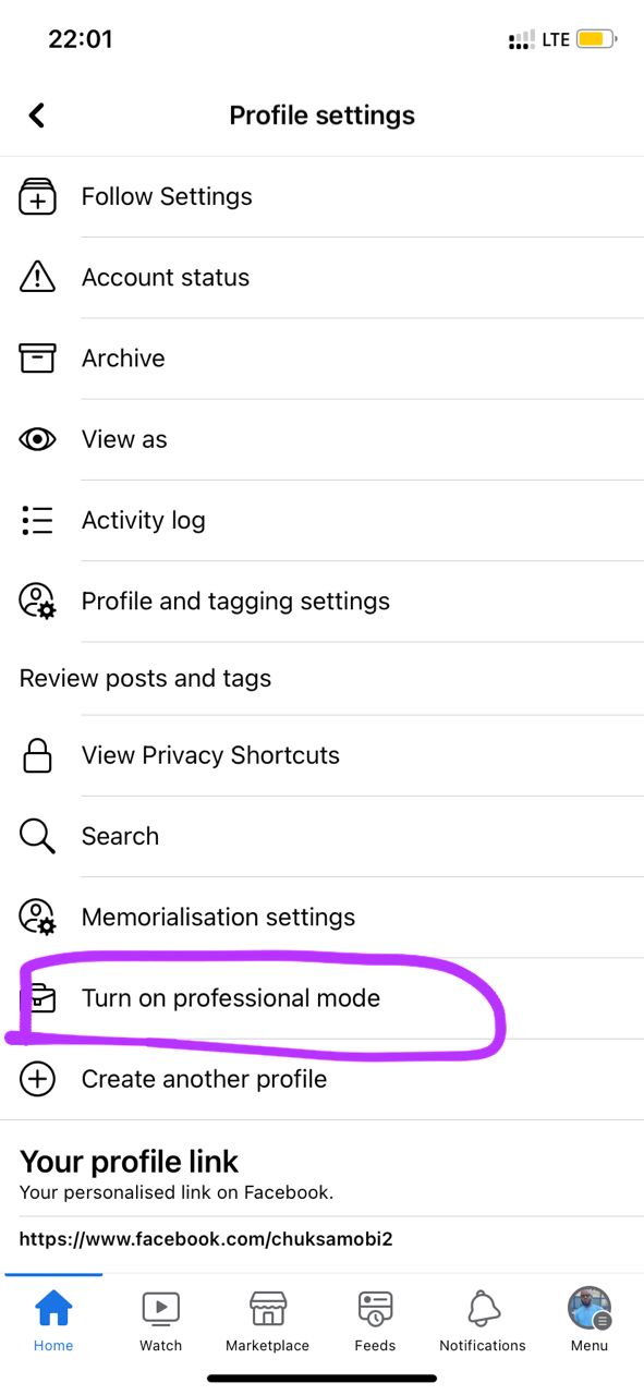 turn on facebook professional mode